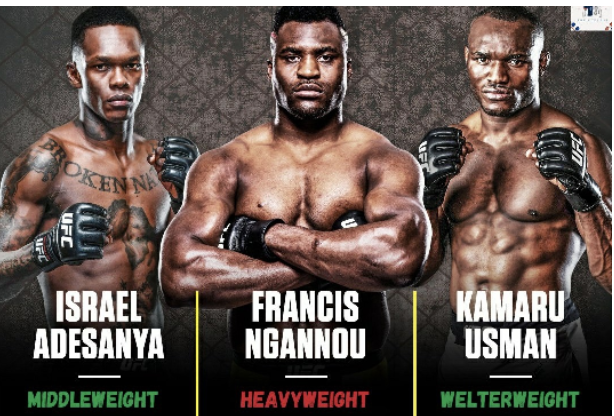 Two Nigerians among three African, 12 UFC champions The ICIR- Latest News, Politics, Governance, Elections, Investigation, Factcheck, Covid-19
