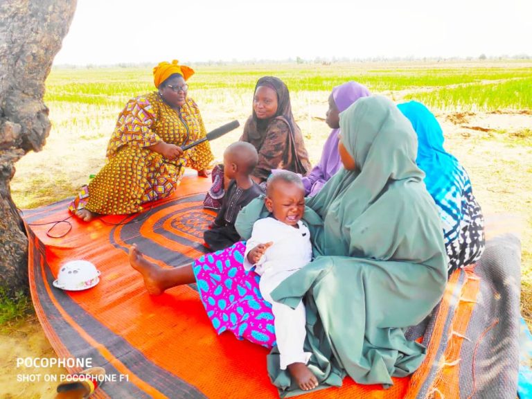 Jigawa smallholder women farmers eye technology, inputs, infrastructure to boost output
