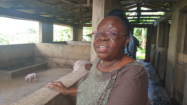 Aduke Akinde, a retired pig expert and farmer lost over N9 million to the ASF. She is among scores of farmers who pleaded for compensation from the government. Photo Credit: The ICIR.