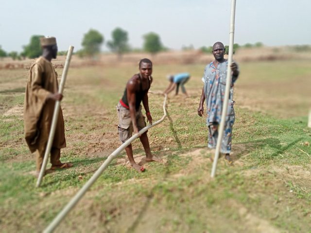 Farmers working on the farm