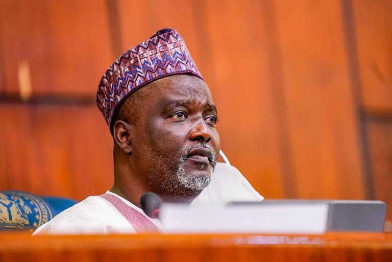 Deputy speaker rigged voice vote on electronic transmission of election results -Rep