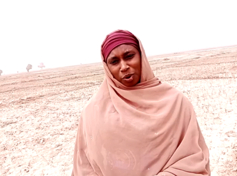 Maryam Murtala in her  rice and wheat farm destroyed by flood