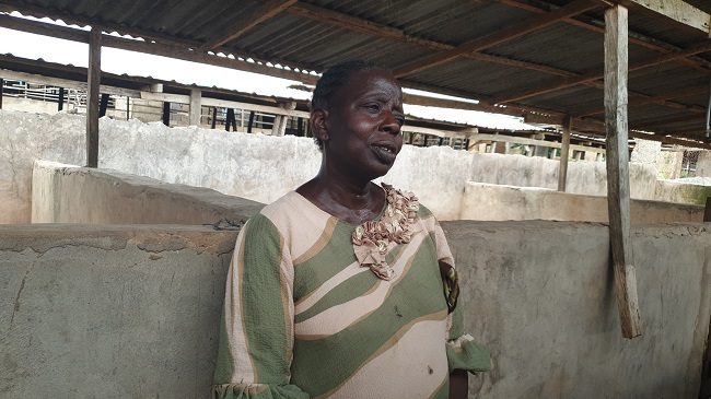 Inside Nigeria's largest pig farm where farmers lost billions