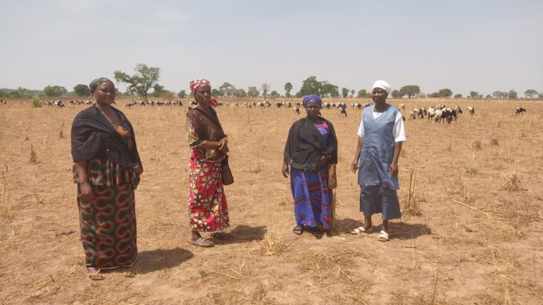 Climate change threatens our survival, women farmers in Niger cry out