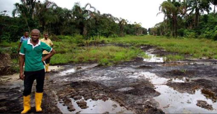 Oil giants seeking new profits prepare to exit polluted Niger Delta