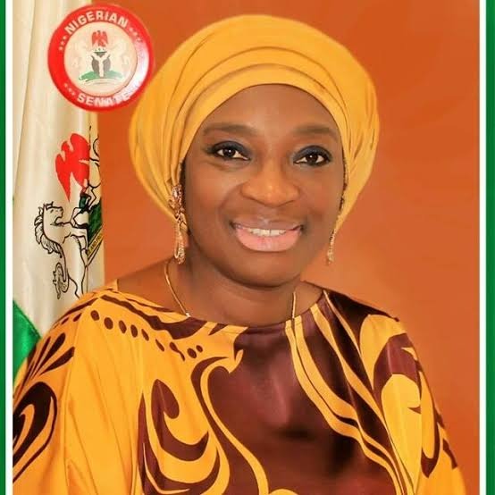 Why I was absent during voting on e-transmission of election results - Ekwunife