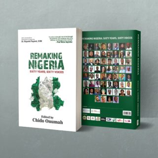 Image of book - Remaking Nigeria
