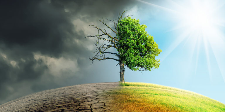 IFCN invites applications for Climate Misinformation Grant Program