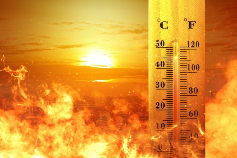 Extreme Heat Reporting Training seeks entries