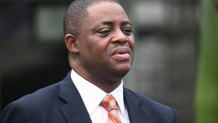 I declined my ambassadorial posting to Germany, opted for South Africa – Fani-Kayode