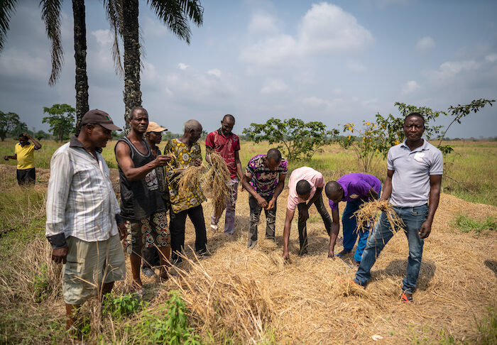 Ani on his farm with other farmers in his community. Credit: Camille Aneke