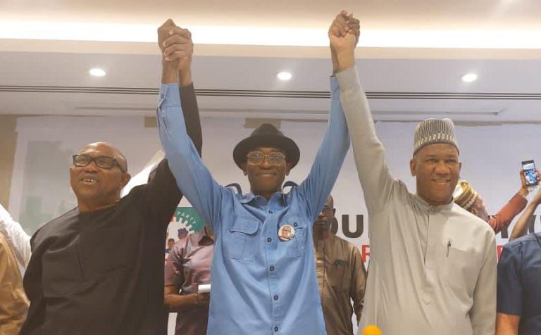 Peter Obi wins in Edo, Cross River, Enugu