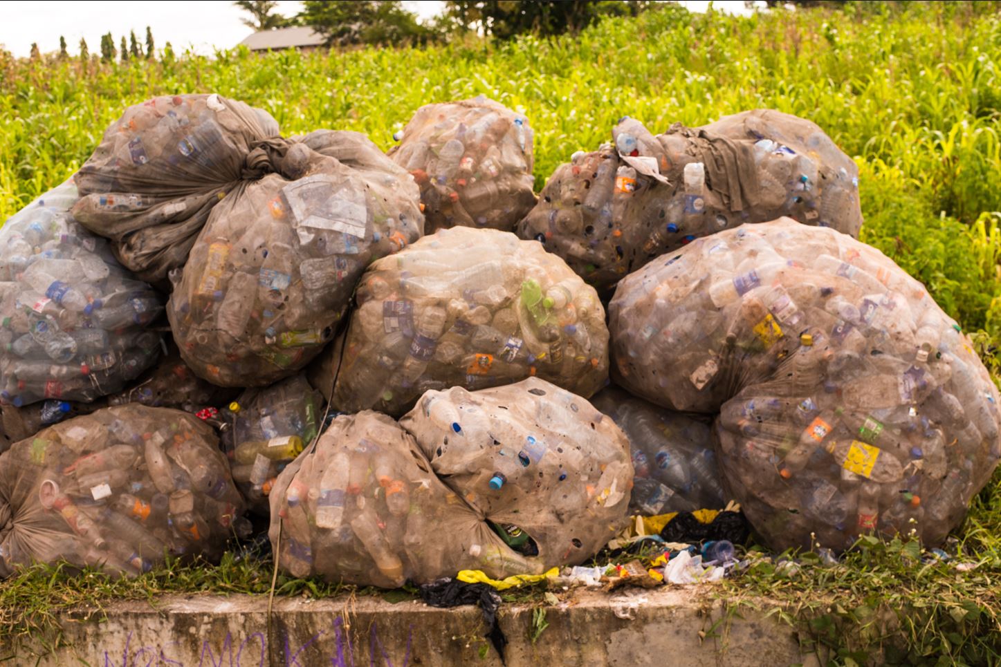 How Abuja residents shift waste into wealth, as economic hardship bites