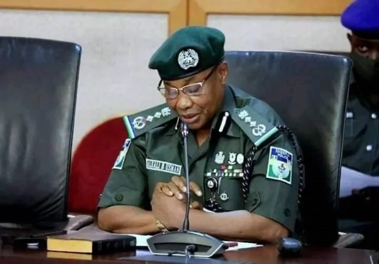 General elections: Police arrest 781 electoral offenders