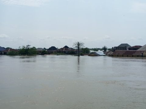 Bungalows covered by flood in Anambra West LGA 