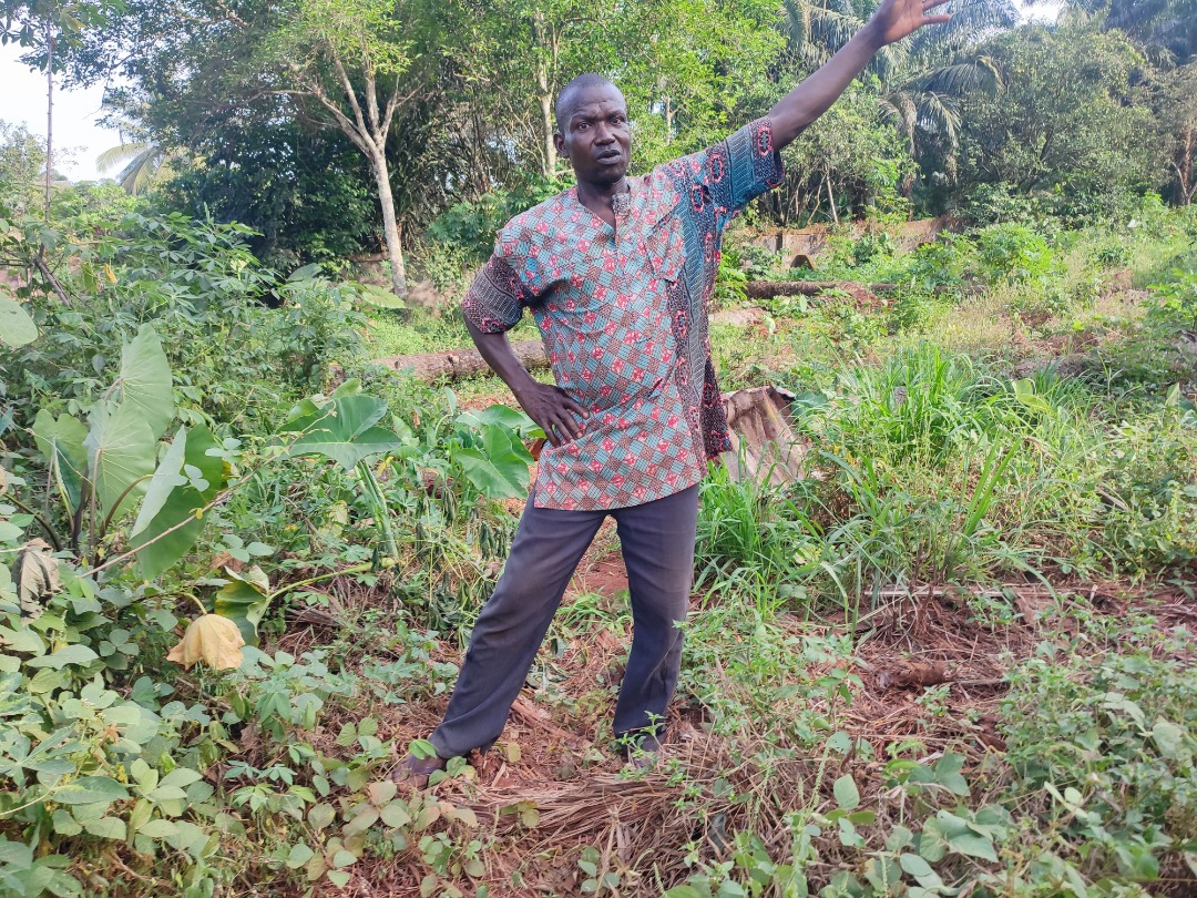 Ugwu inside his farm points to where water flows from to his community.jpg
