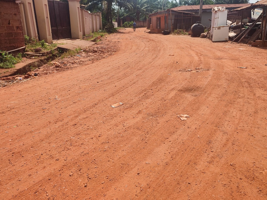 Pothole laden Ngwo-Nsude road.jpg