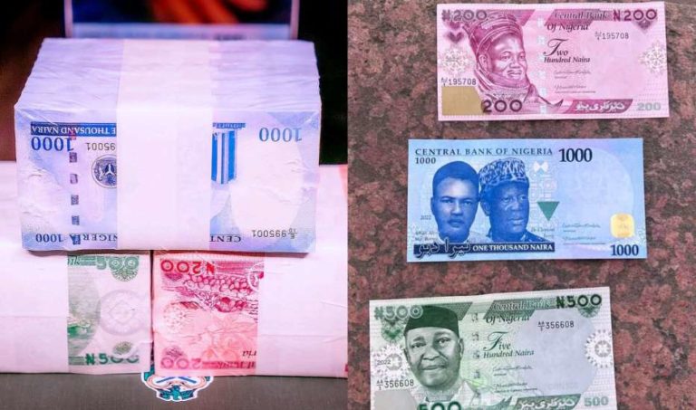 Poor circulation of redesigned naira notes worries PoS merchants, others as January deadline draws close