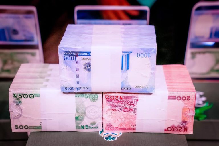 Slow circulation as newly redesigned naira notes go into use
