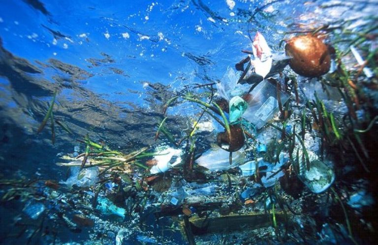 Earth Journalism Network offers 2023 ocean media initiative story grants
