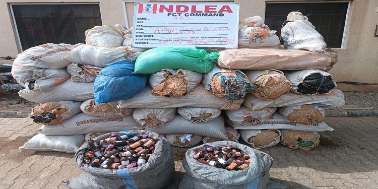 Consignment of drugs seized by FCT command of NDLEA.