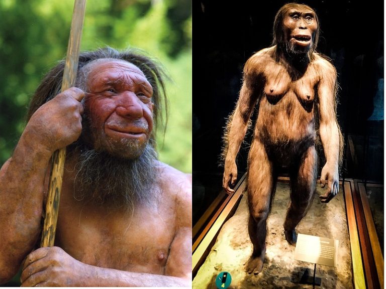 Large mammals shaped the evolution of humans: here’s why it happened in Africa
