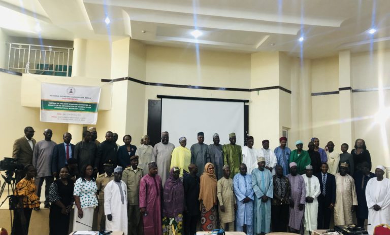 Nigeria, Niger recommit to cross-border cooperation