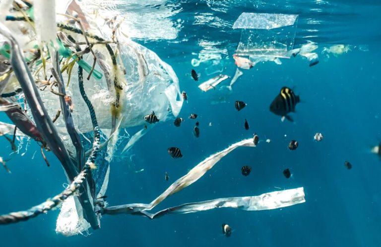 Earth Journalism Network offers Ocean Media Initiative Story Grants