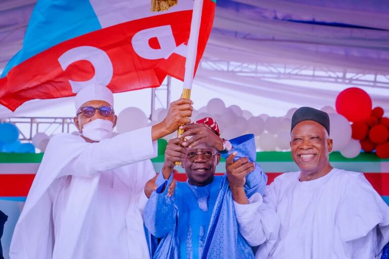 The illusion of a single party by Eric Teniola