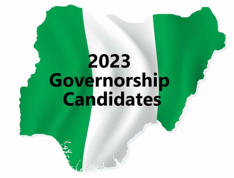 Dashboard: Analysis of 2023 governorship candidates across 28 states