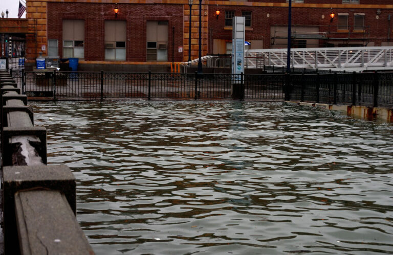Earth Journalism Network offers workshop on covering coastal solutions