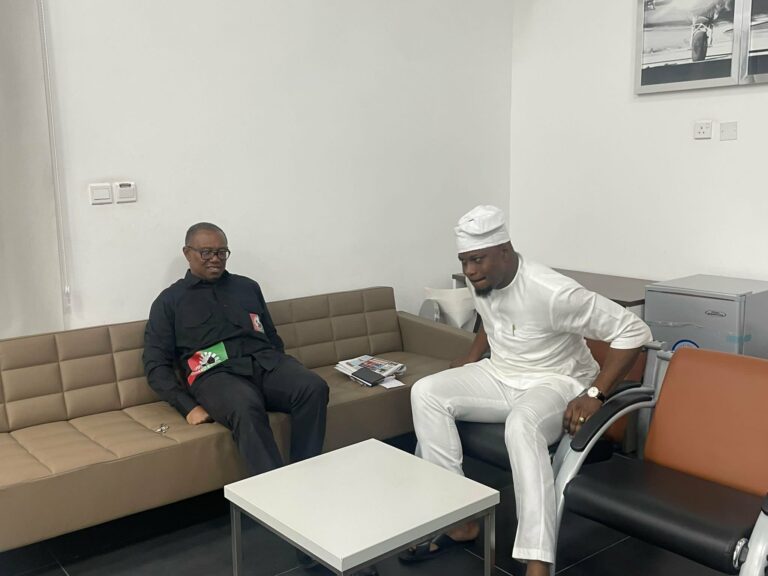 Photo does not show Peter Obi, Gbadebo Rhodes-Vivour drunk at Lagos airport