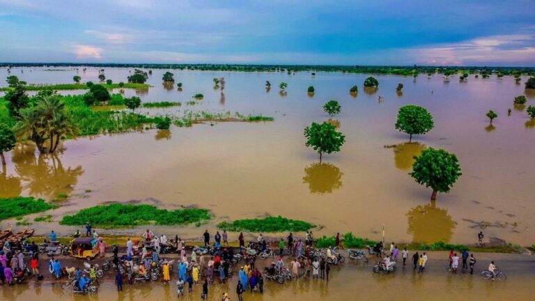 2022 flooding: over 660,000 households to benefit from NEMA’s livelihood supports