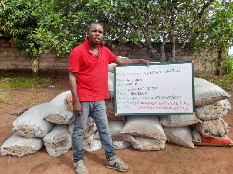 NDLEA intercepts UK-bound N.5bn worth illicit drugs, arrests suspects