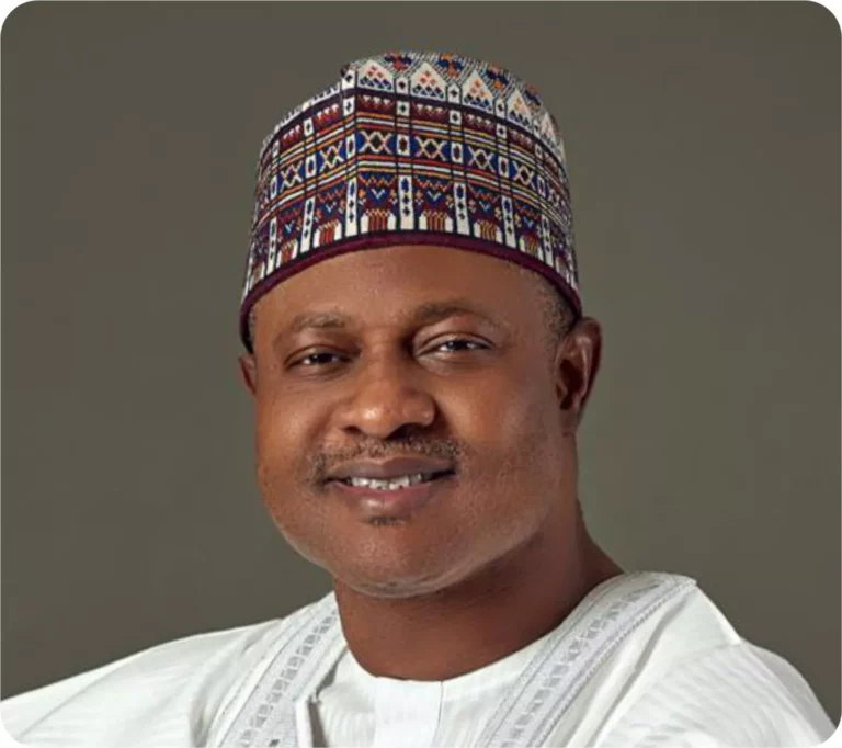NEC postpones deliberations to January as 36 govs endorse state police