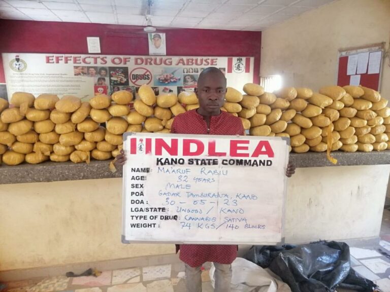 NDLEA destroys 3 tons of skunk in nationwide raids