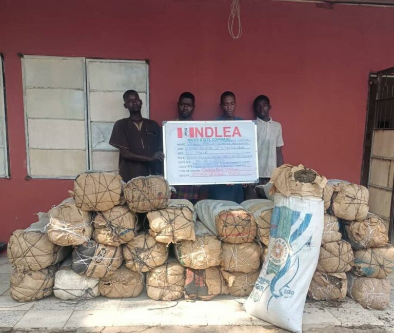 NDLEA arrests two Qatar-based drug lords, destroys 30.9 hectares of cannabis farms nationwide