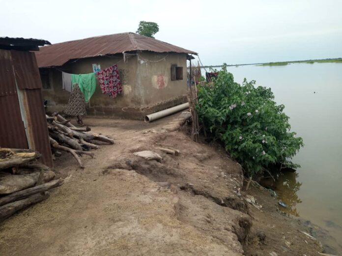 Another house on the shore of the River Niger