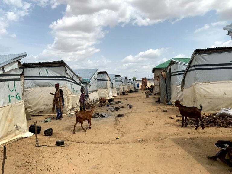 Banditry in Zamfara: A heavy price for peace