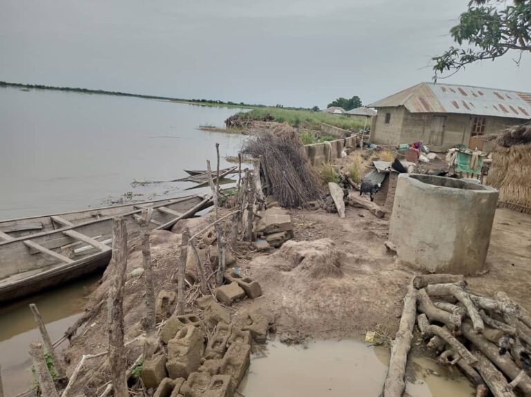 Flooding: What is Niger state doing to mitigate future disaster?