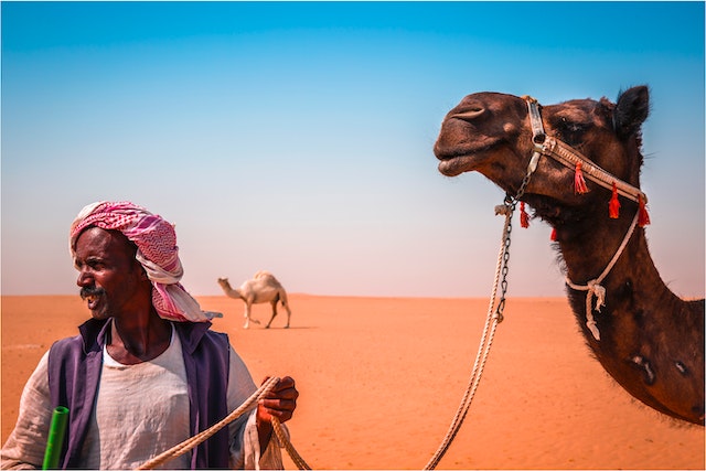 Man standing beside a camel in hot desert. Photo by SenuScape