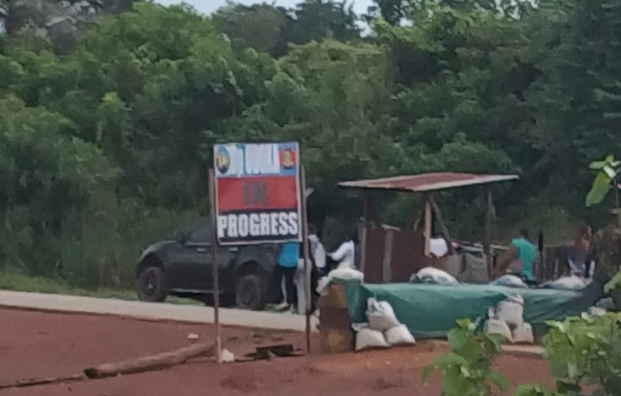 An 'Operation Udoka' checkpoint on a highway in the South-East. Picture by Ihuoma Chiedozie/The ICIR