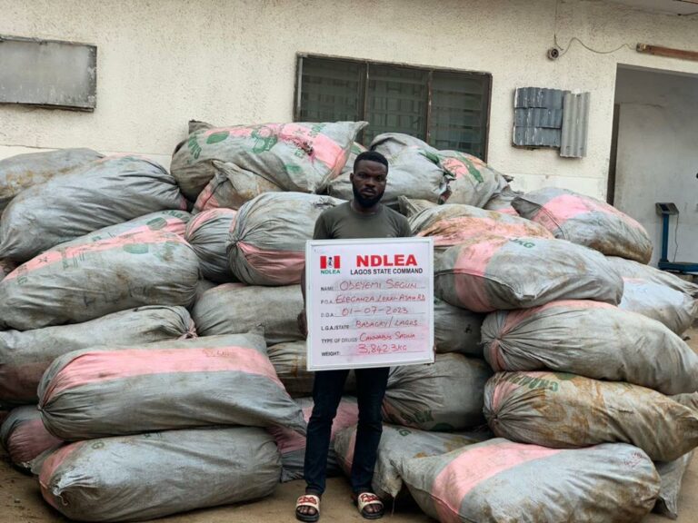 NDLEA seizes 4,560kg of skunk in three states