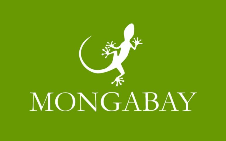 Mongabay hosts webinar on covering planetary boundaries