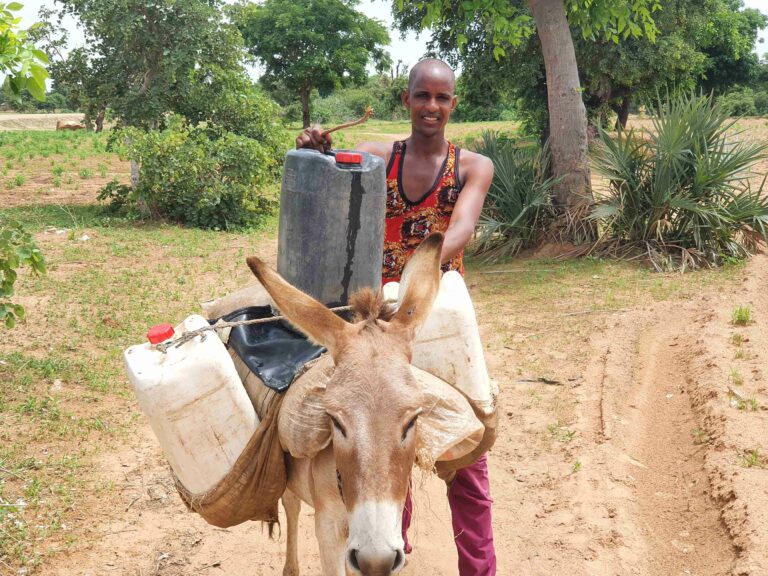 Kano: Constituents suffer illness, death after  boreholes contracts were awarded to ghost companies (2)