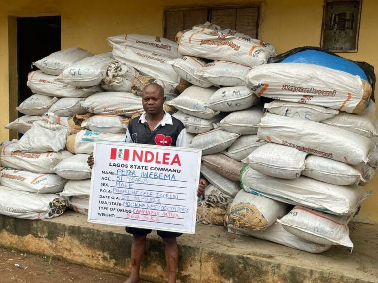 NDLEA bursts drug dealers nets, arrests kingpins, others