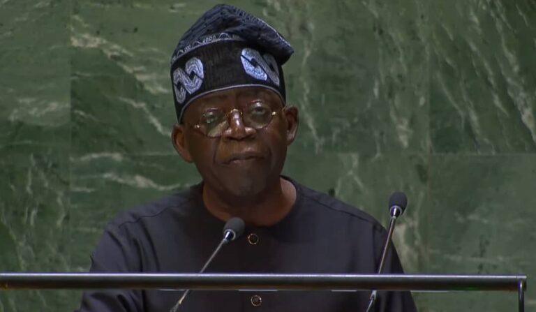 UNGA 78: Africa needs global support to tackle climate change – Tinubu