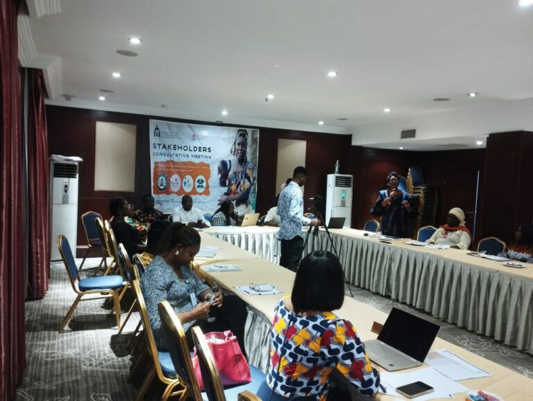 Stakeholders harp on implementing reproductive healthcare policies in conflict areas