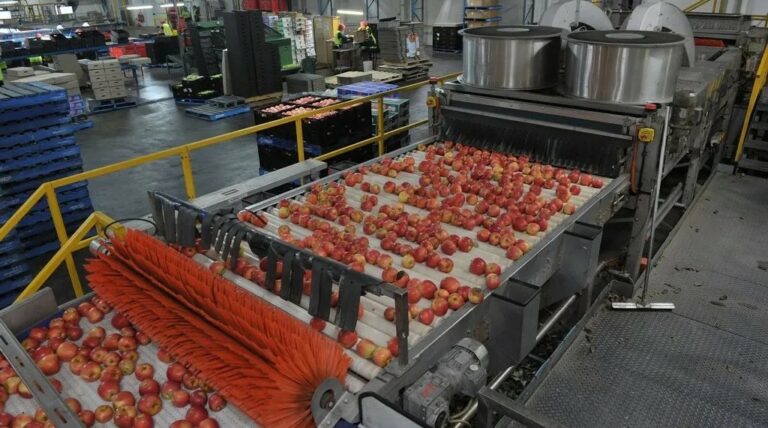 FG’s delay in releasing N75bn loan to manufacturers worrisome – MAN DG