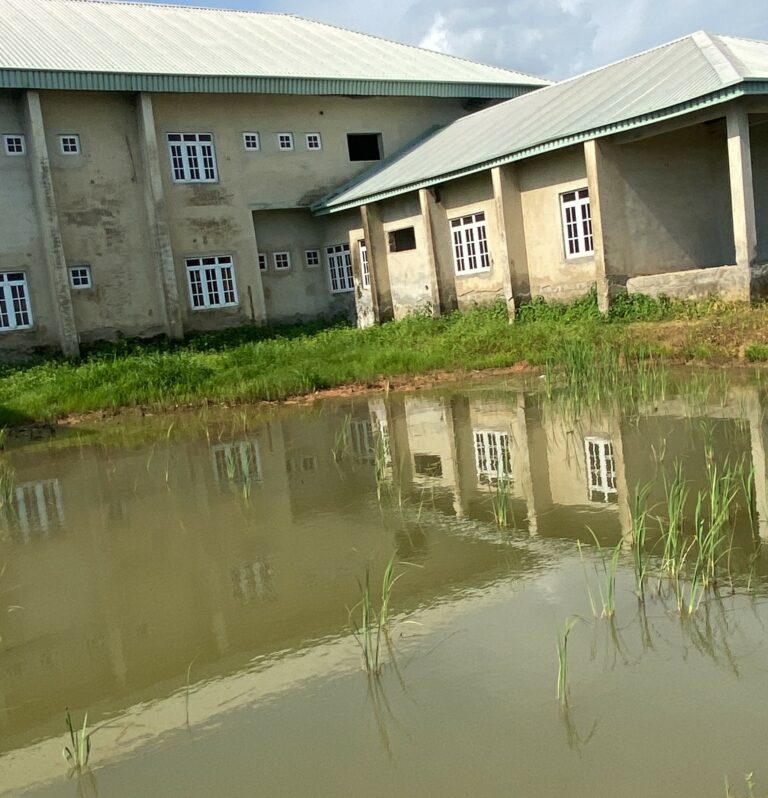 13 years after, another multimillion-naira hospital project in FCT lay in ruins 